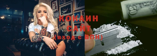 гидра Вяземский