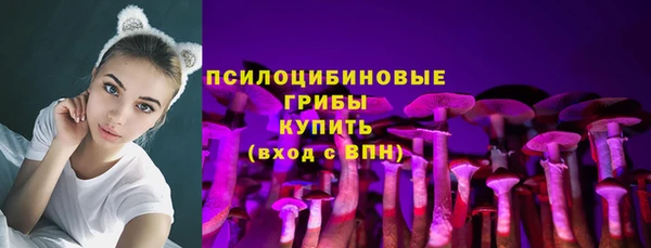 PSILOCYBIN Вязьма
