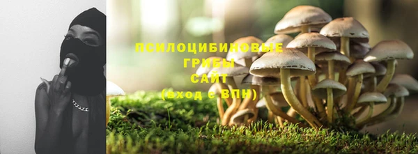 PSILOCYBIN Вязьма