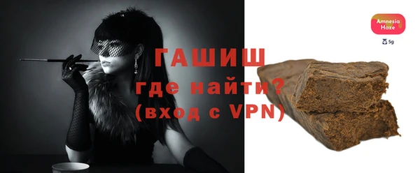 гидра Вяземский