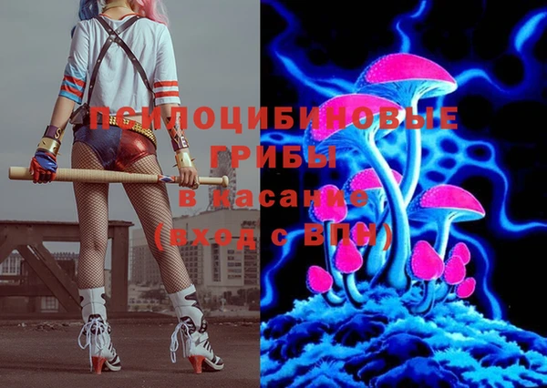 соль ск Волосово
